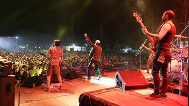 Todo lo que tenés que saber para disfrutar a pleno el Día de la Primavera