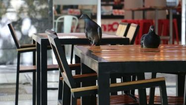 Jueves feriado: ¿qué funciona y qué no?