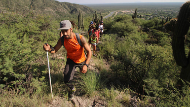 Los bosques más extensos de San Juan se hallan en Valle Fértil, ahora castigado por la sequía.