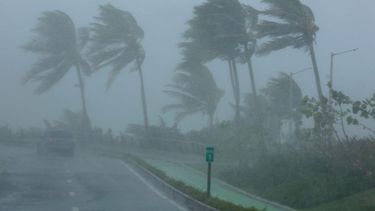 Una sanjuanina cuenta cómo resisten al huracán Irma en Miami