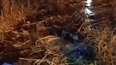 Vecinos mostraron los frentes de sus casas inundados luego de que rebasara el canal por la acumulación de basura. Vecinos mostraron los frentes de sus casas inundados luego de que rebasara el canal por la acumulación de basura.