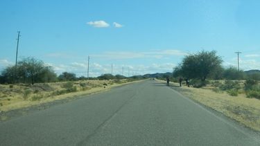 Arte a cambio de agua para los chicos
