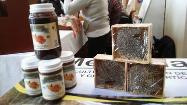 Entregaron más herramientas para los emprendedores de la provincia