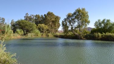 Arrancan las visitas guiadas al Parque de la Biodiversidad