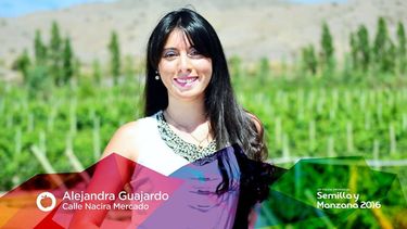 Conocé a las candidatas a reina de la Semilla y Manzana 2016