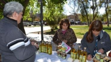 El sábado, Feria Agroproductiva