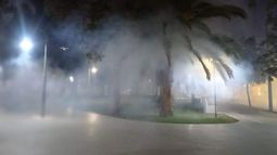 Fumigan una importante plaza de San Juan por la presencia de chinches