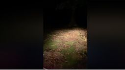 Video: un sereno grabó una escena escalofriante en el Cerro Blanco