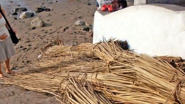 En Zonda regresaron a la totora para el carrusel