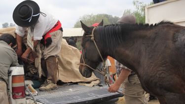 El color y el detras de escena de la cabalgata más convocante