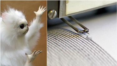 Dice un medio nacional que en San Juan estamos asustados porque tembló