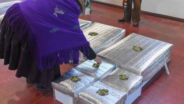 Llegan a San Juan 37 restos humanos del pueblo Huarpe que estaban en Buenos Aires