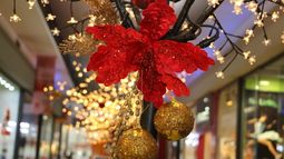 Navidad en el Patio Alvear: todos los detalles para pasarlo a lo grande