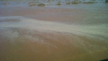 Intensas lluvias: Más de 200 personas evacuadas por crecidas en Media Agua