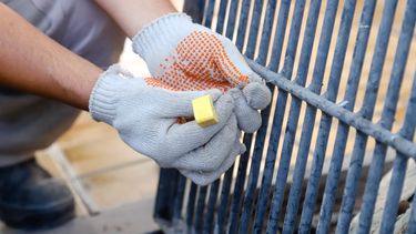 Capital informó el cronograma de desinsectación y desratización en los barrios