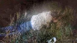 Quiso escapar de la cárcel disfrazado de oveja: mirá cómo le fue