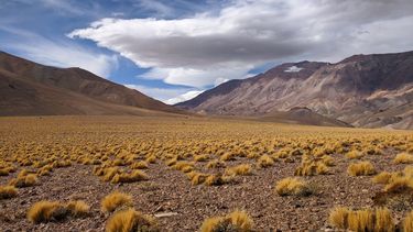 Postales de la montaña sanjuanina bajo la óptica de un trabajador de Veladero