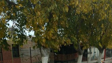 El Bº Natania VIII plagado de peligrosas zanjas: los vecinos reclaman una solución