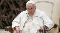 El papa Francisco, durante una audiencia en el Vaticano.