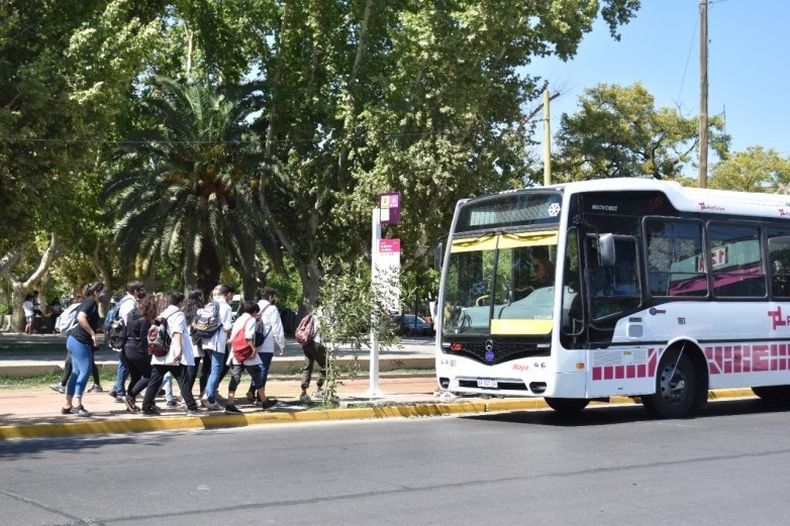 colectivos escuela credencial estudiantil única.jpg