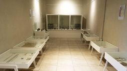 El Museo Arqueológico Mariano Gambier reabrió sus puertas después de 6 años, en otro espacio y con una muestra renovada.