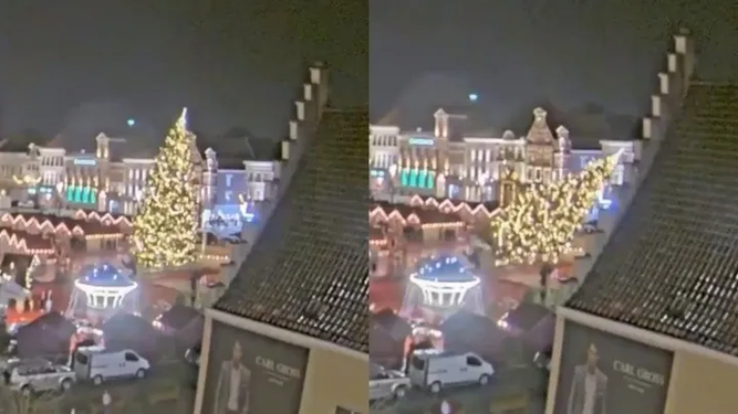 Así cayó el árbol de navidad