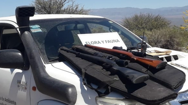 En un nuevo operativo, fueron rescatadas 7 aves en la provincia durante el fin de semana.