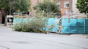 Árboles caídos y cables de alta tensión tirados en al menos 8 departamentos