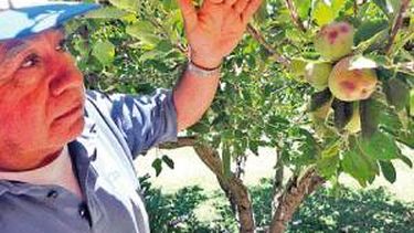 Capacitan a productores de Chucuma