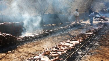 La Fiesta del Chivo en La Majadita celebró 20 años reivindicando la producción local