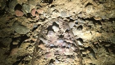 La historia del sanjuanino que se convirtió en el padre del malbec