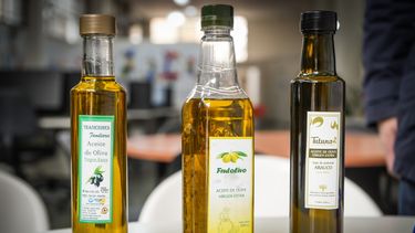 Catar San Juan: probamos todo lo que se produce en la provincia con oliva, desde aceites hasta helado