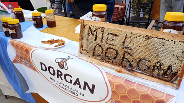 Durante esta semana, productores de miel sanjuaninos exponen sus productos en distintas zonas de la ciudad.