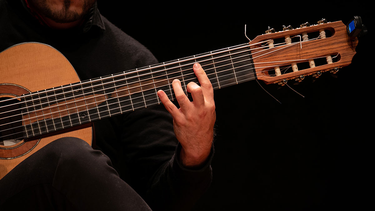 UPCN celebrará las 30 ediciones del Festival Guitarras del Mundo