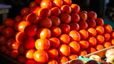 Frutas, verduras y carne: los super precios que podés encontrar en la Feria de Capital