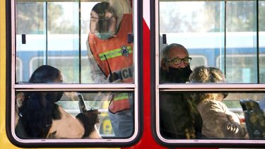 ¿Cómo está el ánimo de los argentinos en restricciones? Contesta el sanjuanino Maxi Aguiar