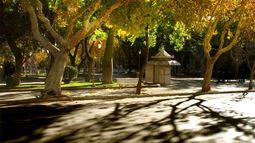 Otoño sanjuanino a pleno: mirá cómo estará el día