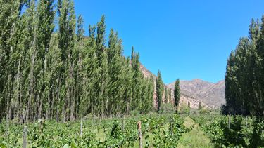 San Juan tendrá una jornada en la que las nubes podrían robarle el protagonismo al sol.