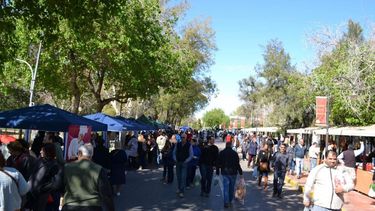 Vuelve la Feria Agroproductiva, edición Navidad