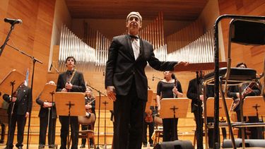 Mozart y los clásicos, por la Camerata y sus amigos