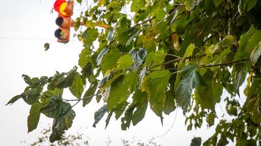 Estado de tiempo en San Juan.