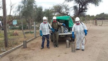Llegan especialistas de todo el país para combatir el Chagas