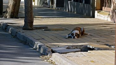El feriado vació el centro