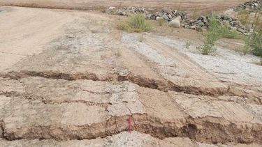 ¿Cuántas réplicas durante un año?¿Cuántas percibidas?¿Las más importantes?: el INPRES responde