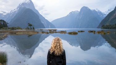 Ofrecen miles de dólares por un trabajo soñado: los detalles