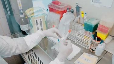 Habló la médica sanjuanina que ofrecía hacer test de coronavirus