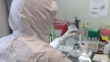 Coronavirus en San Juan: fallecieron 5 personas más