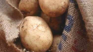 Iglesia: Crece la expectativa por la papa