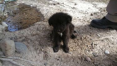 Una abanderada de la solidaridad necesita la ayuda de todos