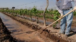 La mayor parte del agua en San Juan se destina a la agricultura, y entre los productores predomina el riego tradicional a manto. La mayor parte del agua en San Juan se destina a la agricultura, y entre los productores predomina el riego tradicional a manto.